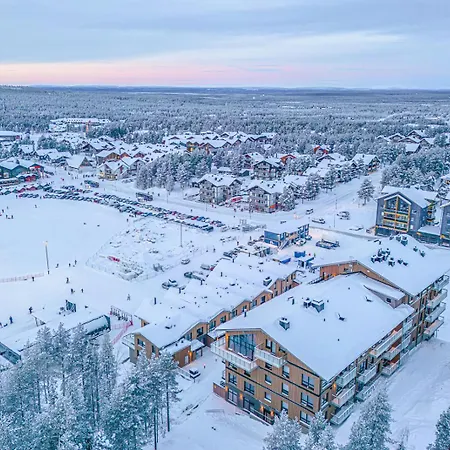 Levillas Cranberry C14 לוי