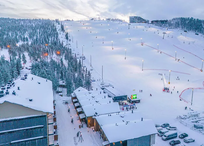 Levillas Cranberry C14 *